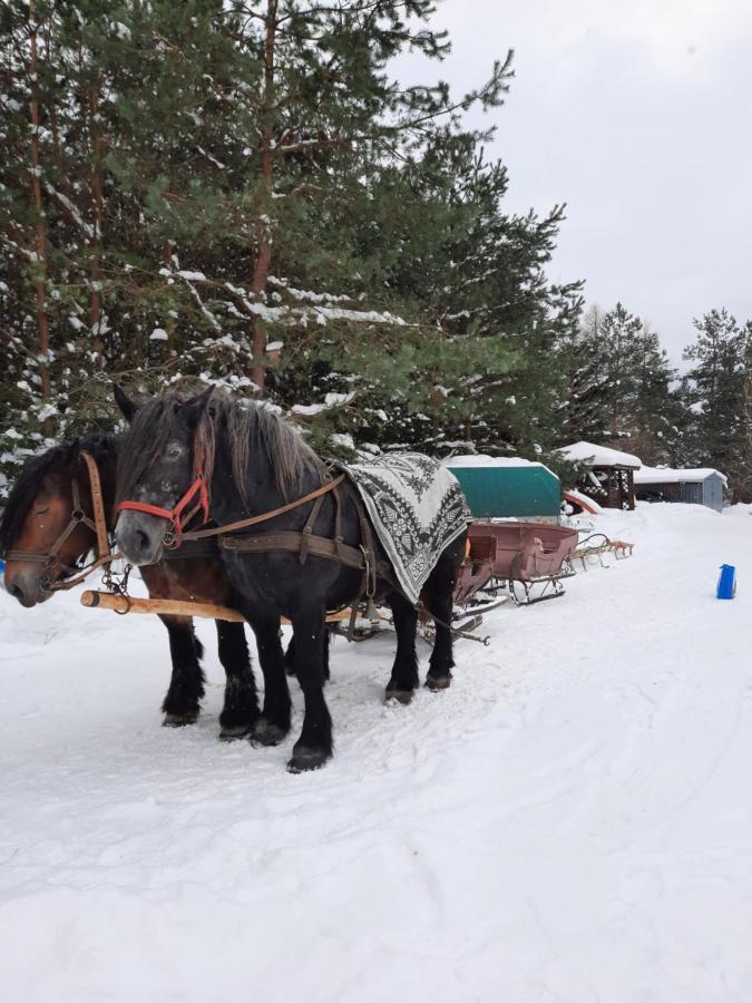Farmstay Marianowka U Tesi Giby Eksteriør bilde